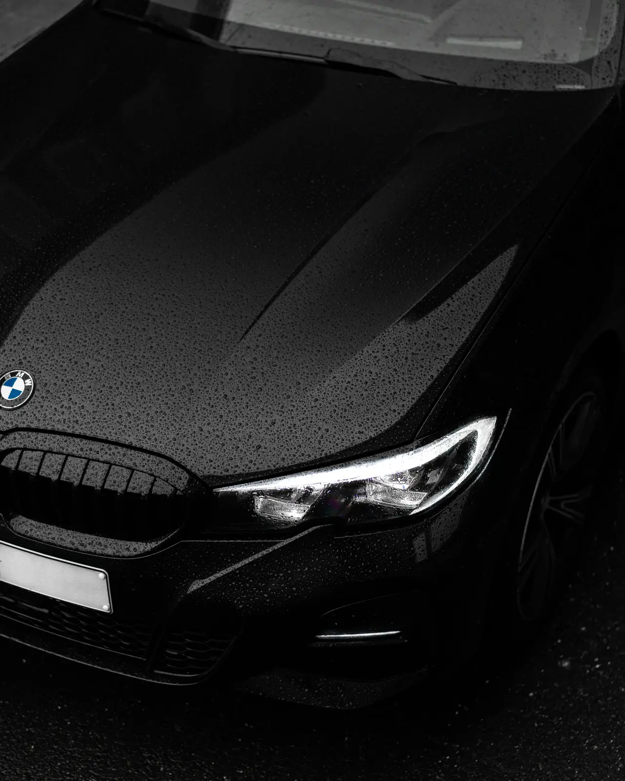 Black BMW front detail in the rain